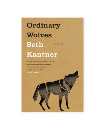 Irony La Croix Vibecession